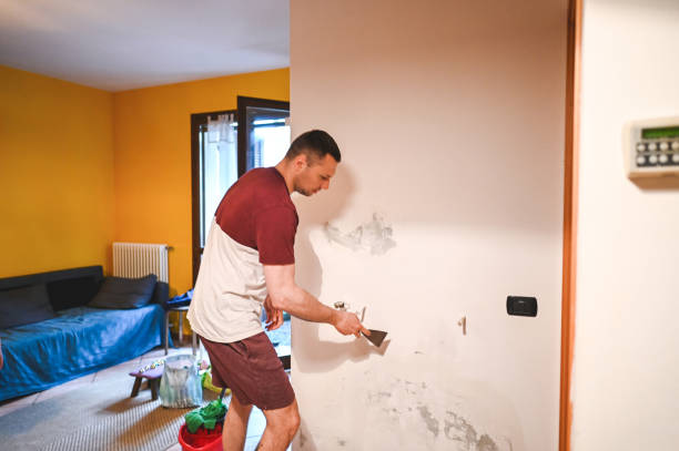 Best Kitchen Mold Remediation in New London, WI