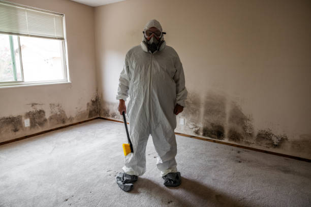 Best Mold Remediation for Specific Building Types in New London, WI